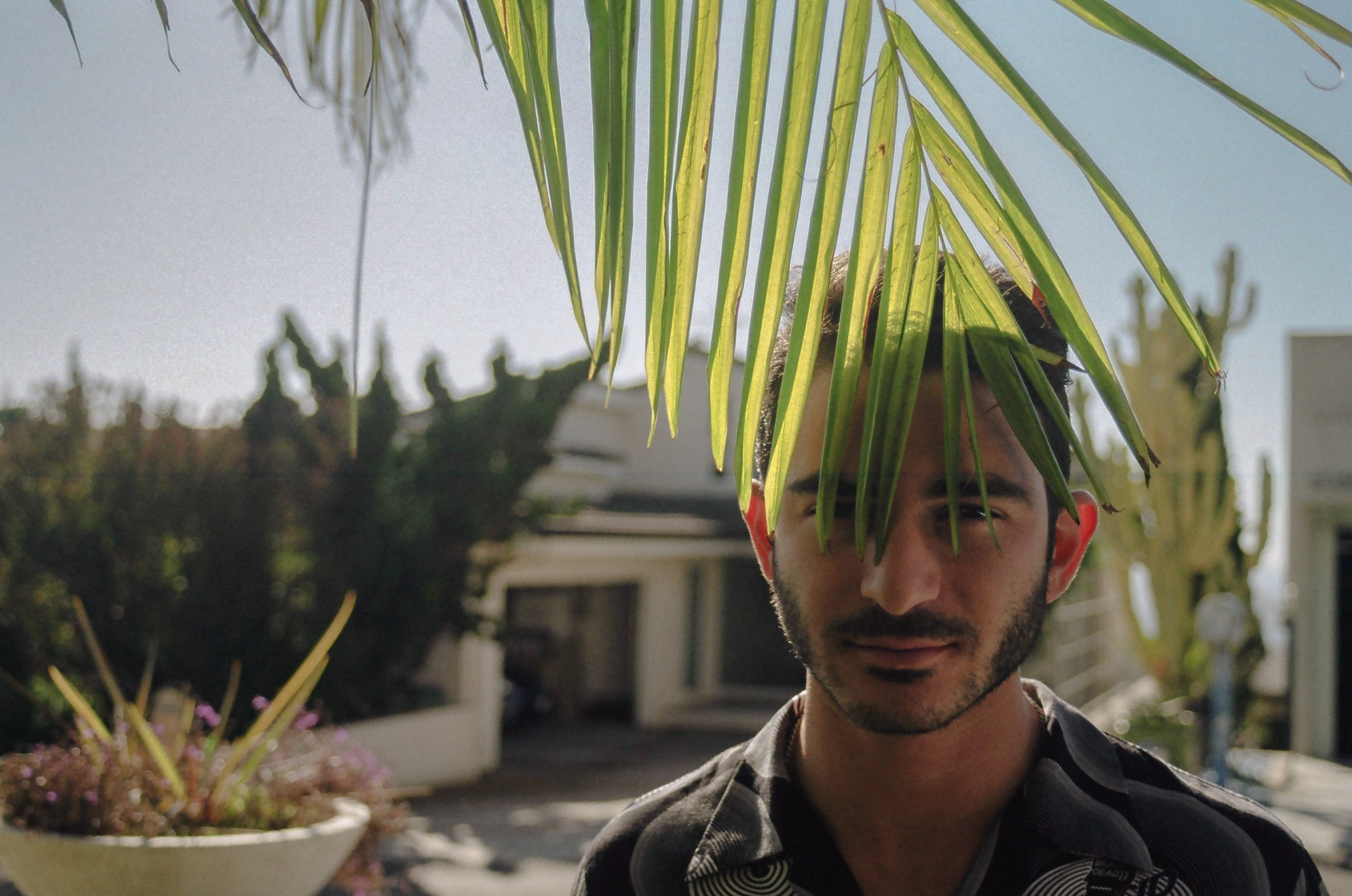 Friend poses for a headshot behind palm tree branch that obstructs view of his face.