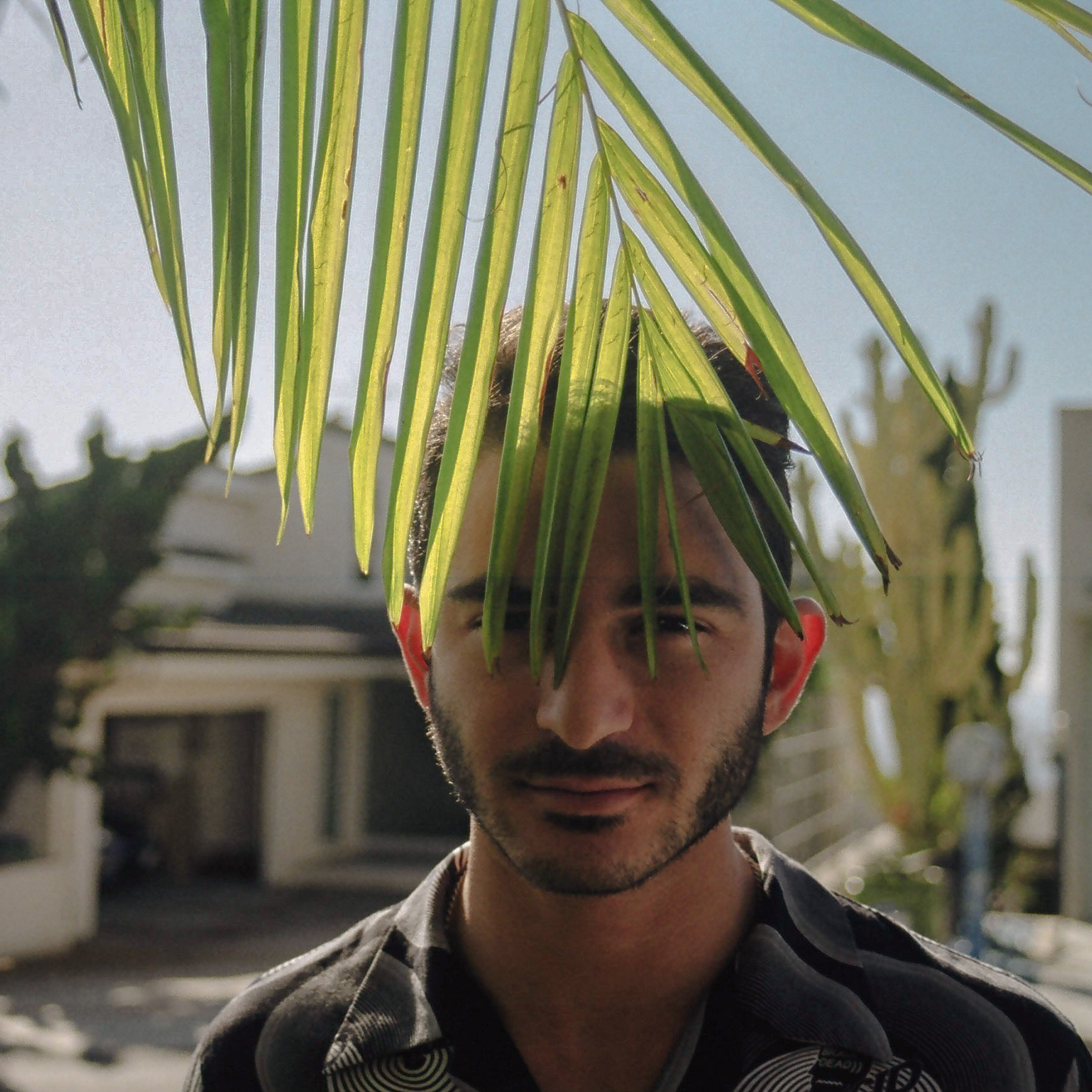 Friend poses for a portrait shot while standing a palm tree leaf that partially blocks his face.