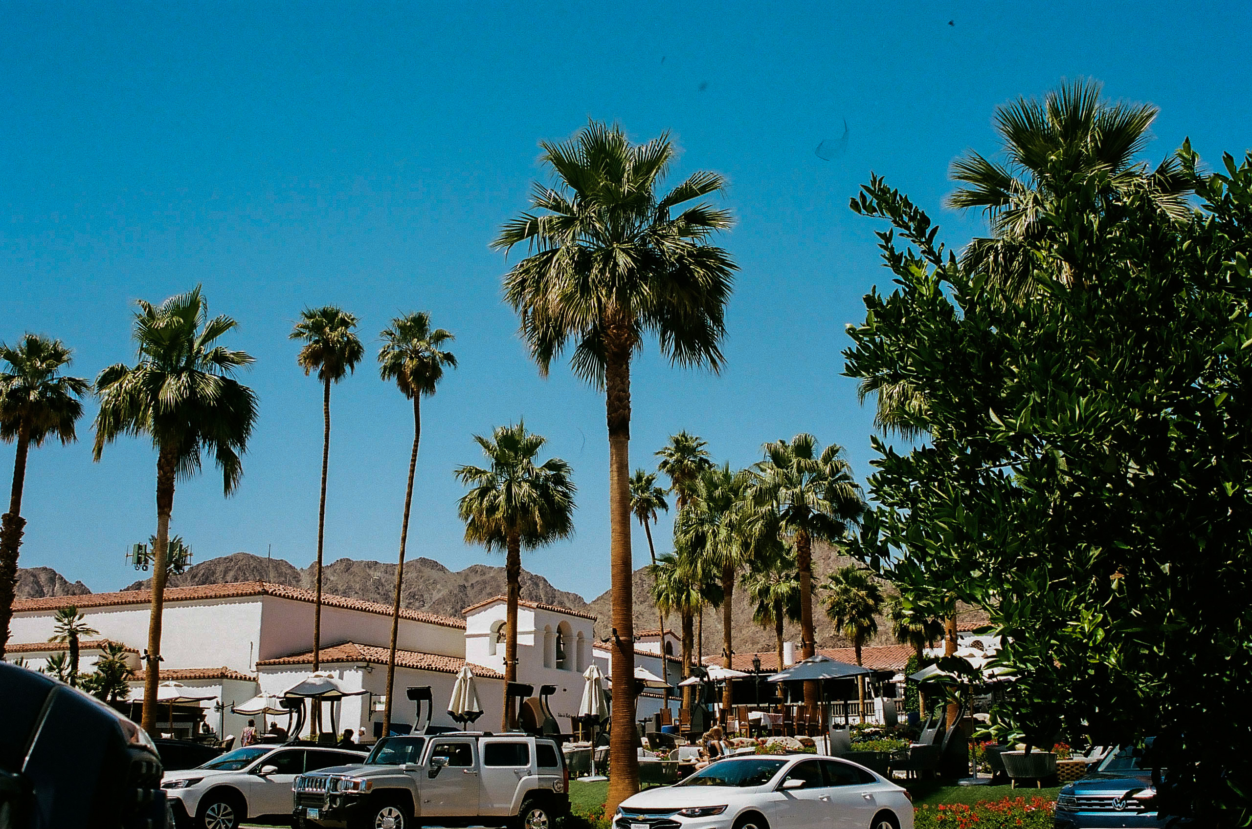 Palm trees near the entrance of the La Quinta Resort & Club in La Quinta, California.