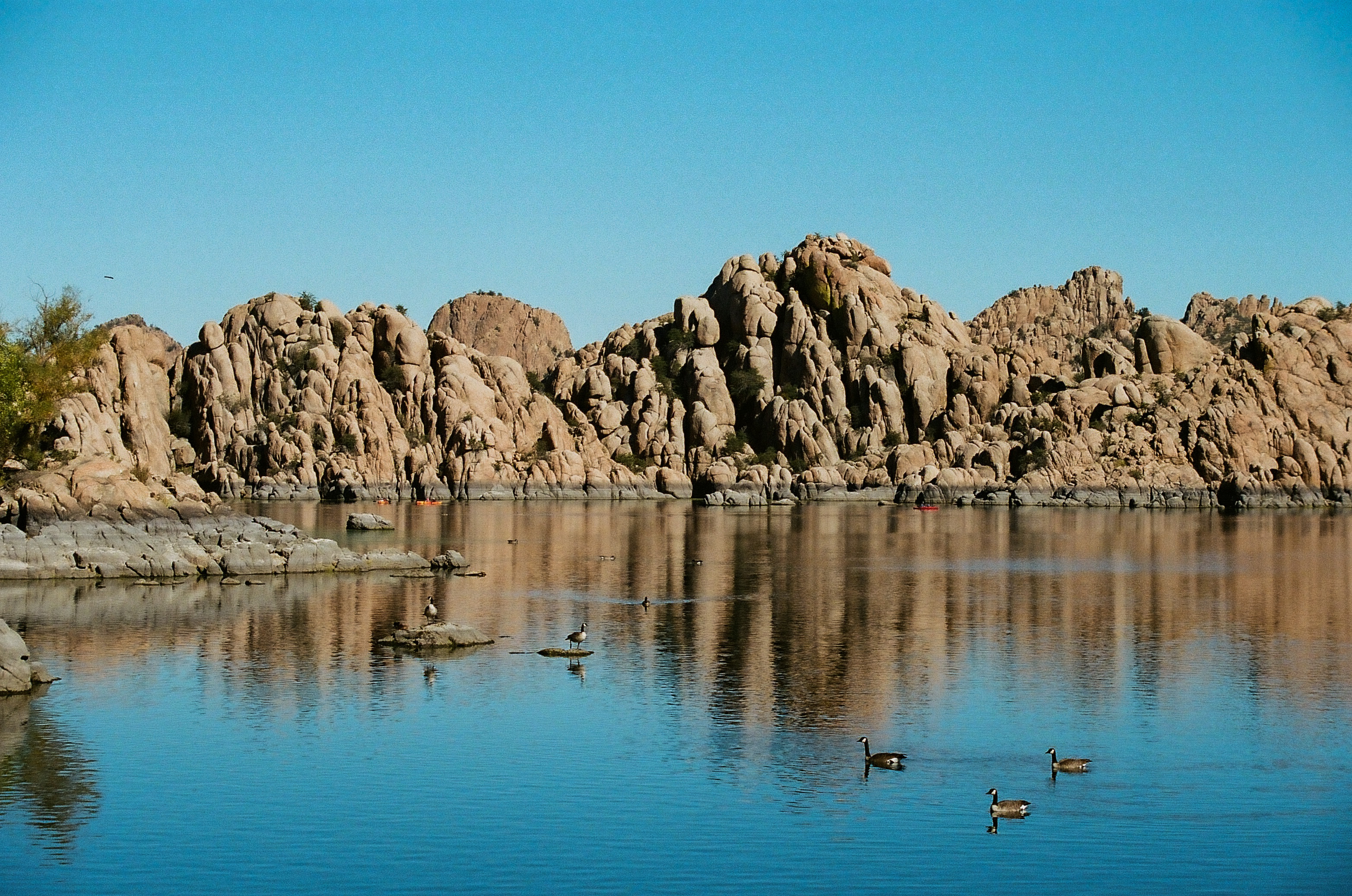 Rocks line the shore of Watson Lake where birds are swimming.