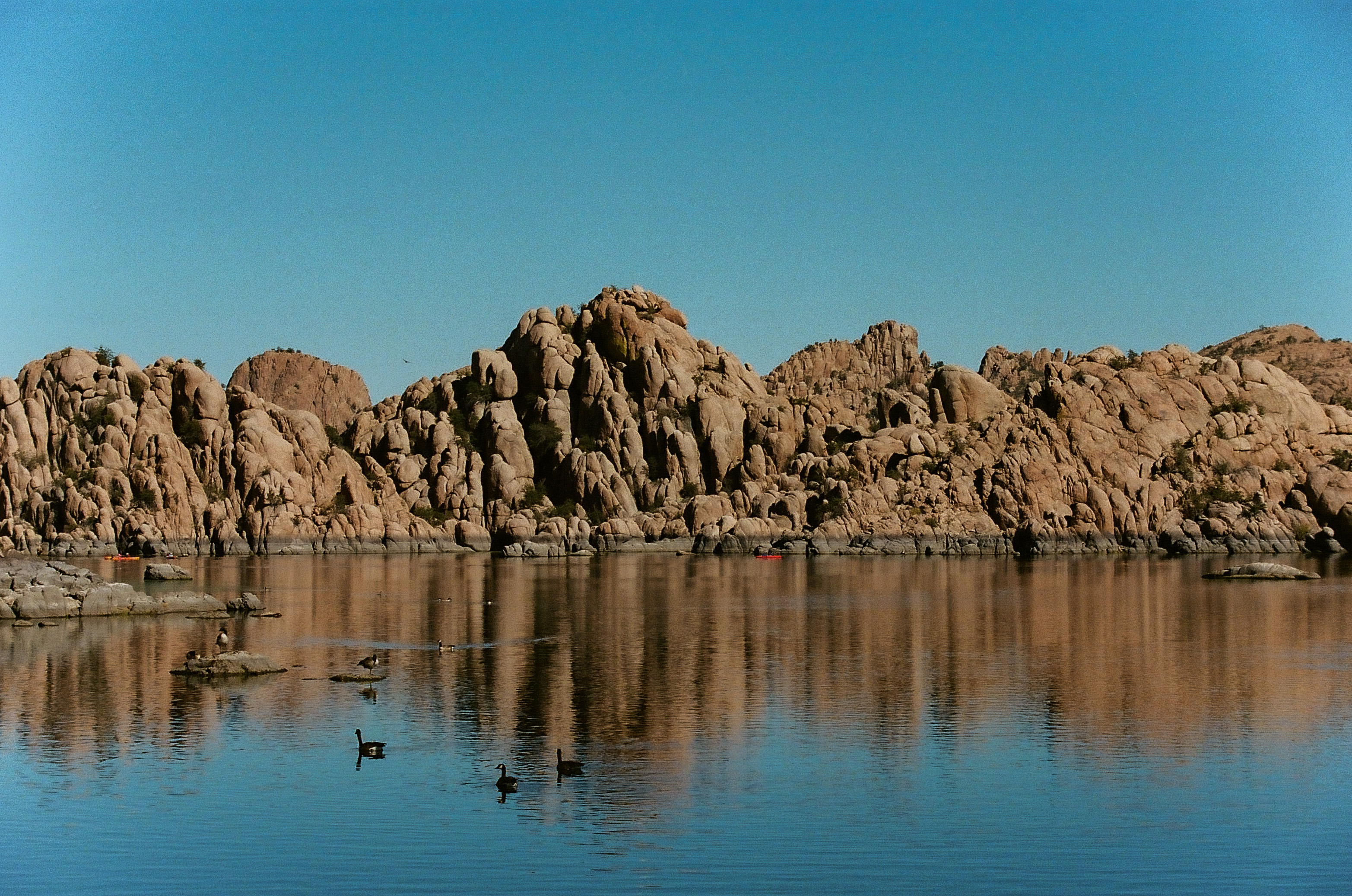 Rocks line the shore of Watson Lake where birds are swimming.