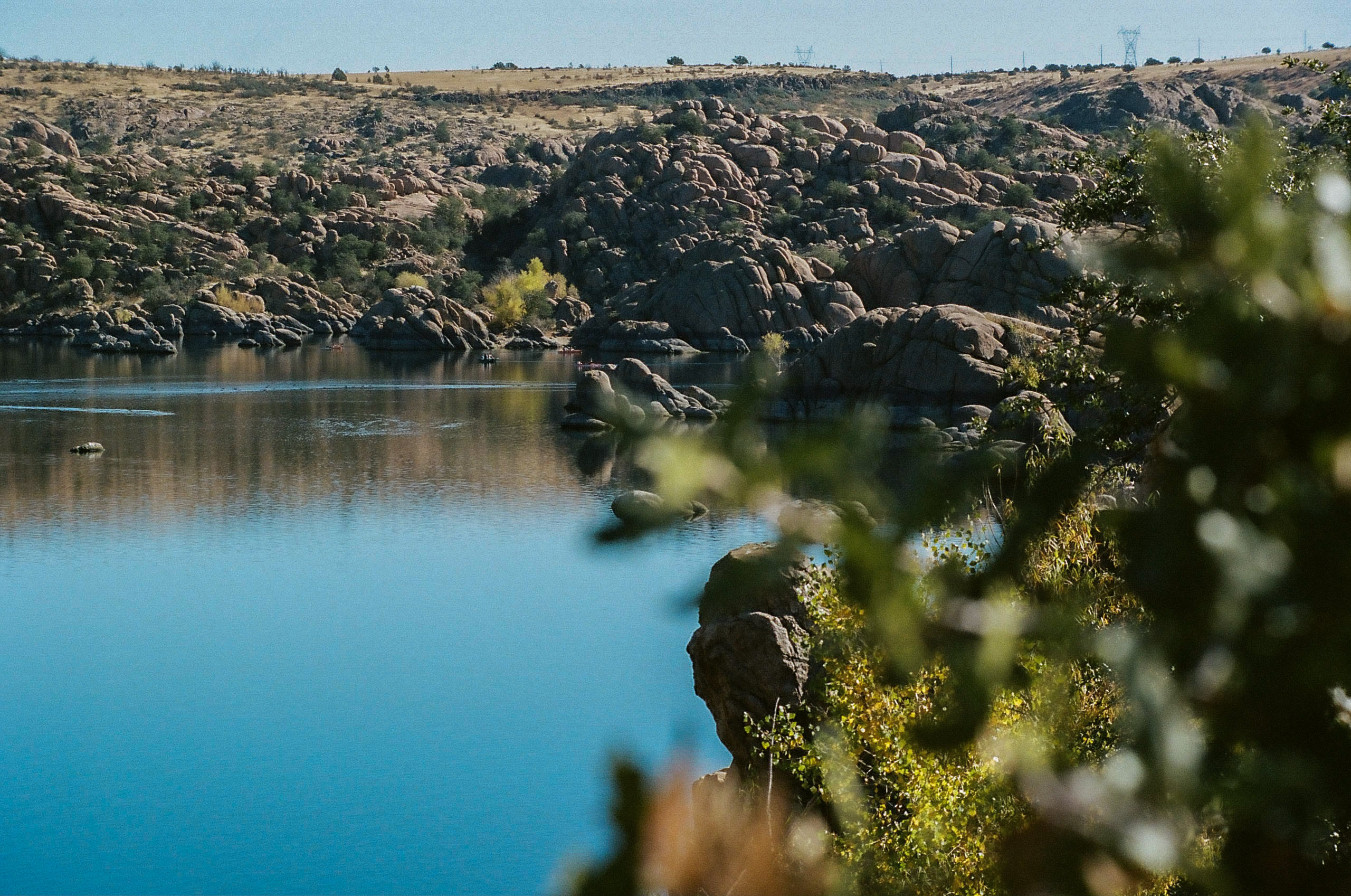 Foilage obstructs the view of Watson Lake shore.