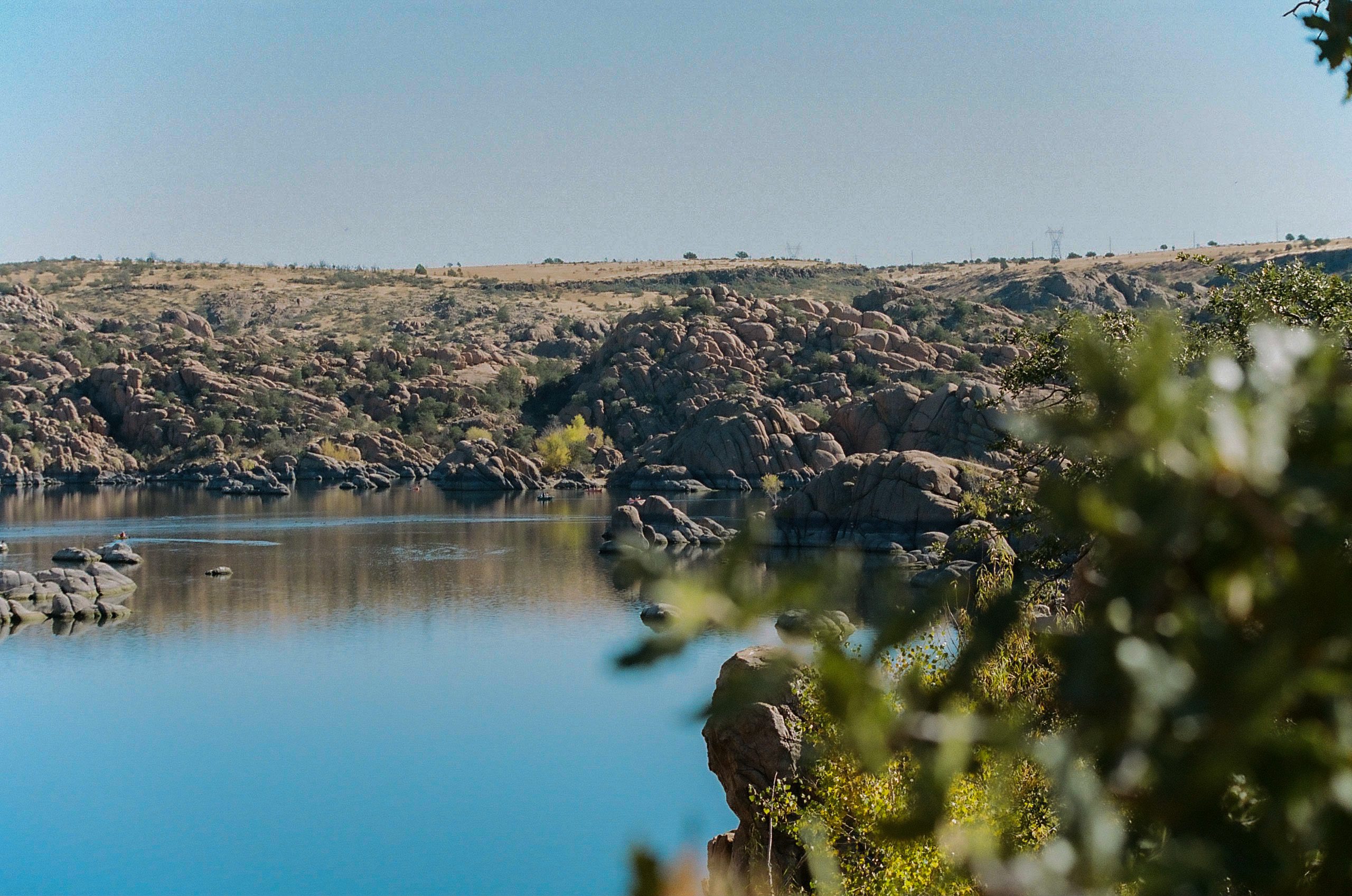 Foilage obstructs the view of Watson Lake shore.